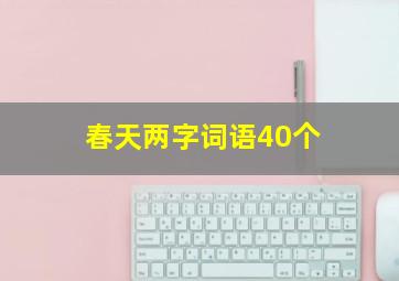 春天两字词语40个