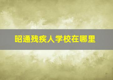 昭通残疾人学校在哪里