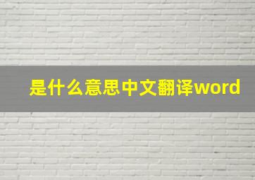 是什么意思中文翻译word