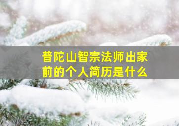 普陀山智宗法师出家前的个人简历是什么