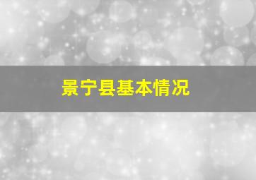 景宁县基本情况