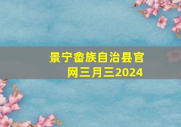 景宁畲族自治县官网三月三2024