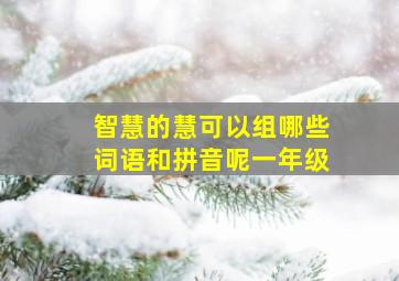 智慧的慧可以组哪些词语和拼音呢一年级