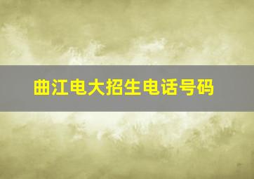 曲江电大招生电话号码