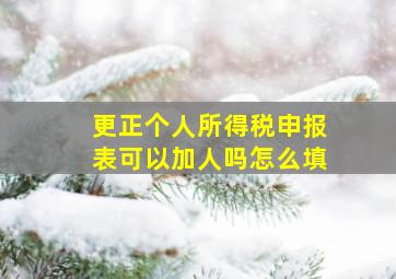 更正个人所得税申报表可以加人吗怎么填