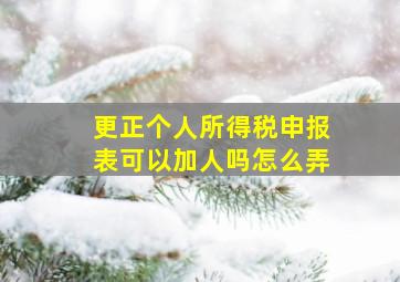 更正个人所得税申报表可以加人吗怎么弄