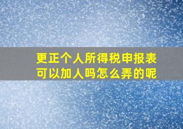 更正个人所得税申报表可以加人吗怎么弄的呢