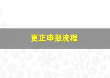 更正申报流程