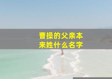 曹操的父亲本来姓什么名字