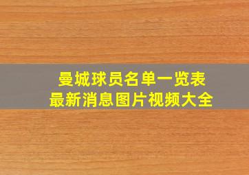 曼城球员名单一览表最新消息图片视频大全