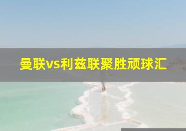 曼联vs利兹联聚胜顽球汇