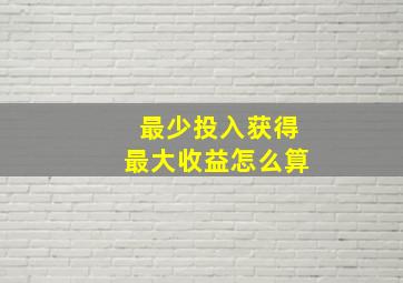 最少投入获得最大收益怎么算