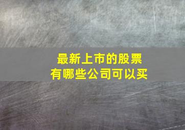 最新上市的股票有哪些公司可以买