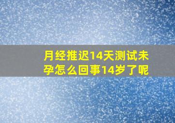 月经推迟14天测试未孕怎么回事14岁了呢