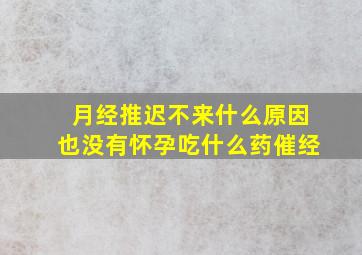 月经推迟不来什么原因也没有怀孕吃什么药催经