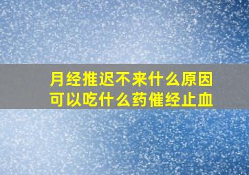 月经推迟不来什么原因可以吃什么药催经止血