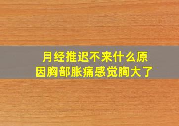 月经推迟不来什么原因胸部胀痛感觉胸大了