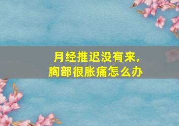 月经推迟没有来,胸部很胀痛怎么办