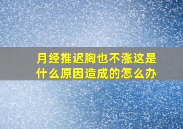 月经推迟胸也不涨这是什么原因造成的怎么办