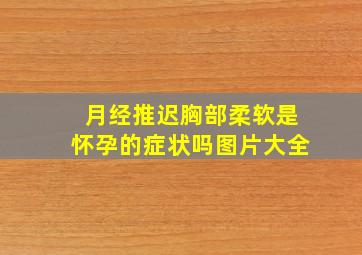 月经推迟胸部柔软是怀孕的症状吗图片大全