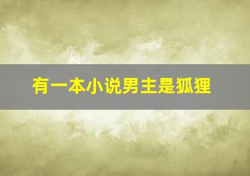 有一本小说男主是狐狸