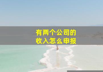 有两个公司的收入怎么申报