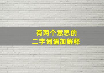 有两个意思的二字词语加解释