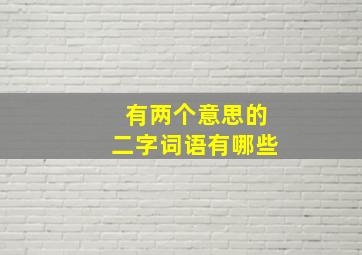 有两个意思的二字词语有哪些