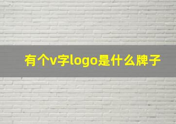 有个v字logo是什么牌子