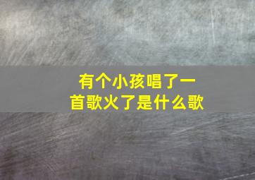 有个小孩唱了一首歌火了是什么歌