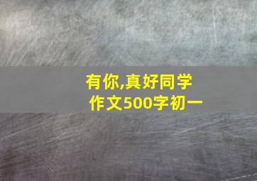 有你,真好同学作文500字初一