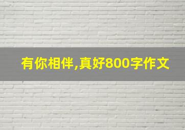 有你相伴,真好800字作文