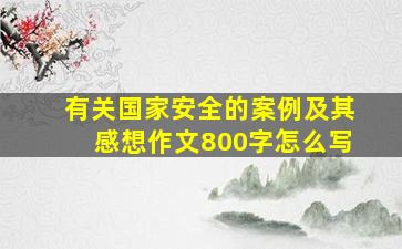 有关国家安全的案例及其感想作文800字怎么写