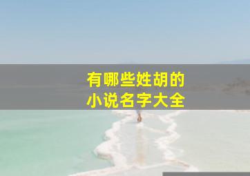 有哪些姓胡的小说名字大全