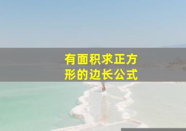 有面积求正方形的边长公式