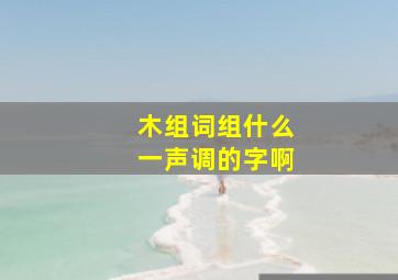 木组词组什么一声调的字啊