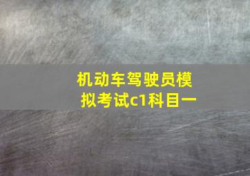 机动车驾驶员模拟考试c1科目一