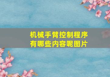 机械手臂控制程序有哪些内容呢图片