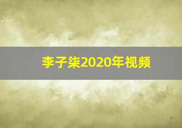 李子柒2020年视频