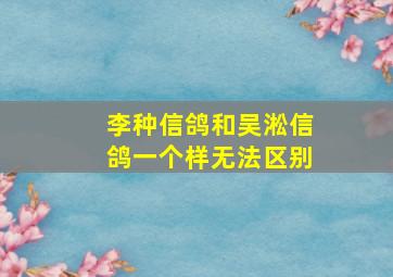 李种信鸽和吴淞信鸽一个样无法区别