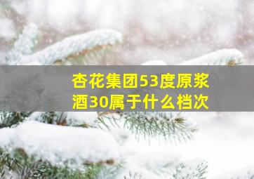 杏花集团53度原浆酒30属于什么档次