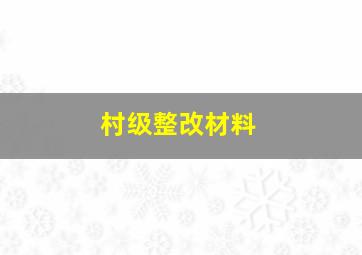 村级整改材料