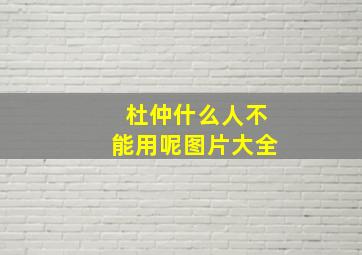 杜仲什么人不能用呢图片大全