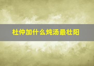 杜仲加什么炖汤最壮阳