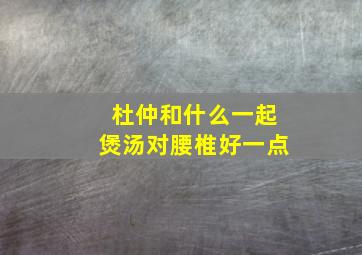 杜仲和什么一起煲汤对腰椎好一点