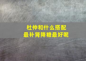 杜仲和什么搭配最补肾降糖最好呢