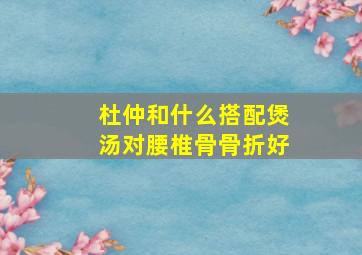 杜仲和什么搭配煲汤对腰椎骨骨折好