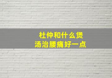 杜仲和什么煲汤治腰痛好一点