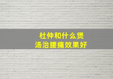 杜仲和什么煲汤治腰痛效果好