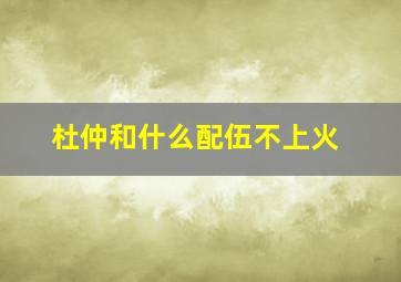 杜仲和什么配伍不上火